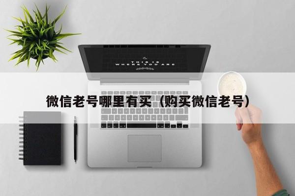 微信老号哪里有买（购买微信老号）